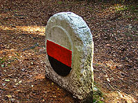 Nov&yacute; ��&aacute;r