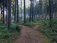 Nov&yacute; ��&aacute;r